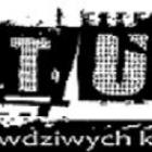 Fotka nr 4 z 6