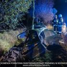 Fotka nr 4 z 6