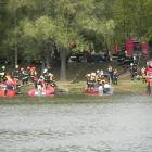 zdjęcie nr 7