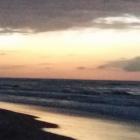 zdjęcie nr 46