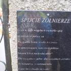 zdjęcie nr 15
