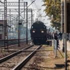 zdjęcie nr 31