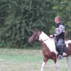 zdjęcie nr 21