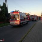 Fotka nr 5 z 6