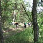 zdjęcie nr 7
