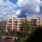 zdjęcie nr 11