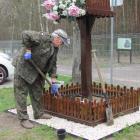 zdjęcie nr 11