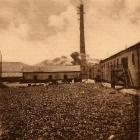 Wysadzenie konina cukrowni w Młodzieszynie, prawdop. 1916 r. Fot. ze zbiorów Andrzeja...