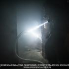 zdjęcie nr 4