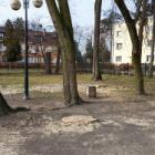 zdjęcie nr 7