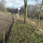 zdjęcie nr 7