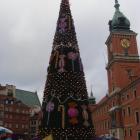 zdjęcie nr 9