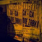 Fotka nr 3 z 48