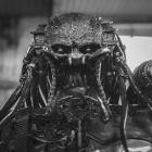 Predator