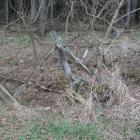 Elementy ogrodzenia/płotu (fotografia ze zbiorów autora)	
