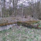 Fundamenty domu moich dziadków (fotografia ze zbiorów autora)