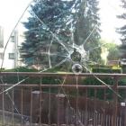 Fotka nr 2 z 12