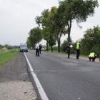 zdjęcie nr 13