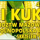 Fotka nr 1 z 2