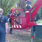 zdjęcie nr 7