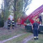 Fotka nr 5 z 10