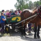zdjęcie nr 23
