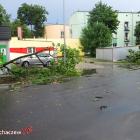 zdjęcie nr 8