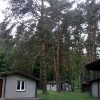 zdjęcie nr 9