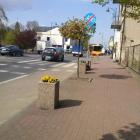 Sochaczew ul. Traugutta