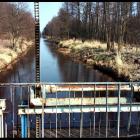 Fotka nr 3 z 6
