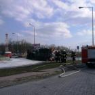 Fotka nr 5 z 8