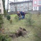 Fotka nr 5 z 7