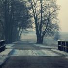 Fotka nr 1 z 2