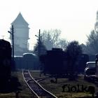 Fotka nr 5 z 9