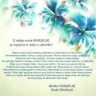 Fotka nr 0 z 3