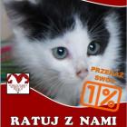 Fotka nr 1 z 3