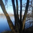 Fotka nr 5 z 10