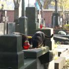 zdjęcie nr 32