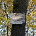 zdjęcie nr 31