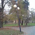 zdjęcie nr 8