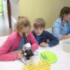 zdjęcie nr 18