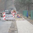 Fotka nr 5 z 6