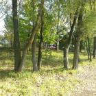 zdjęcie nr 8