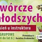 zdjęcie nr 11
