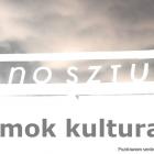 zdjęcie nr 1