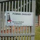 Fotka nr 4 z 12