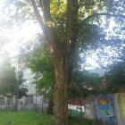 Fotka nr 5 z 30