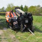 Fotka nr 1 z 11