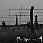 zdjęcie nr 10