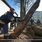 Fotka nr 3 z 10